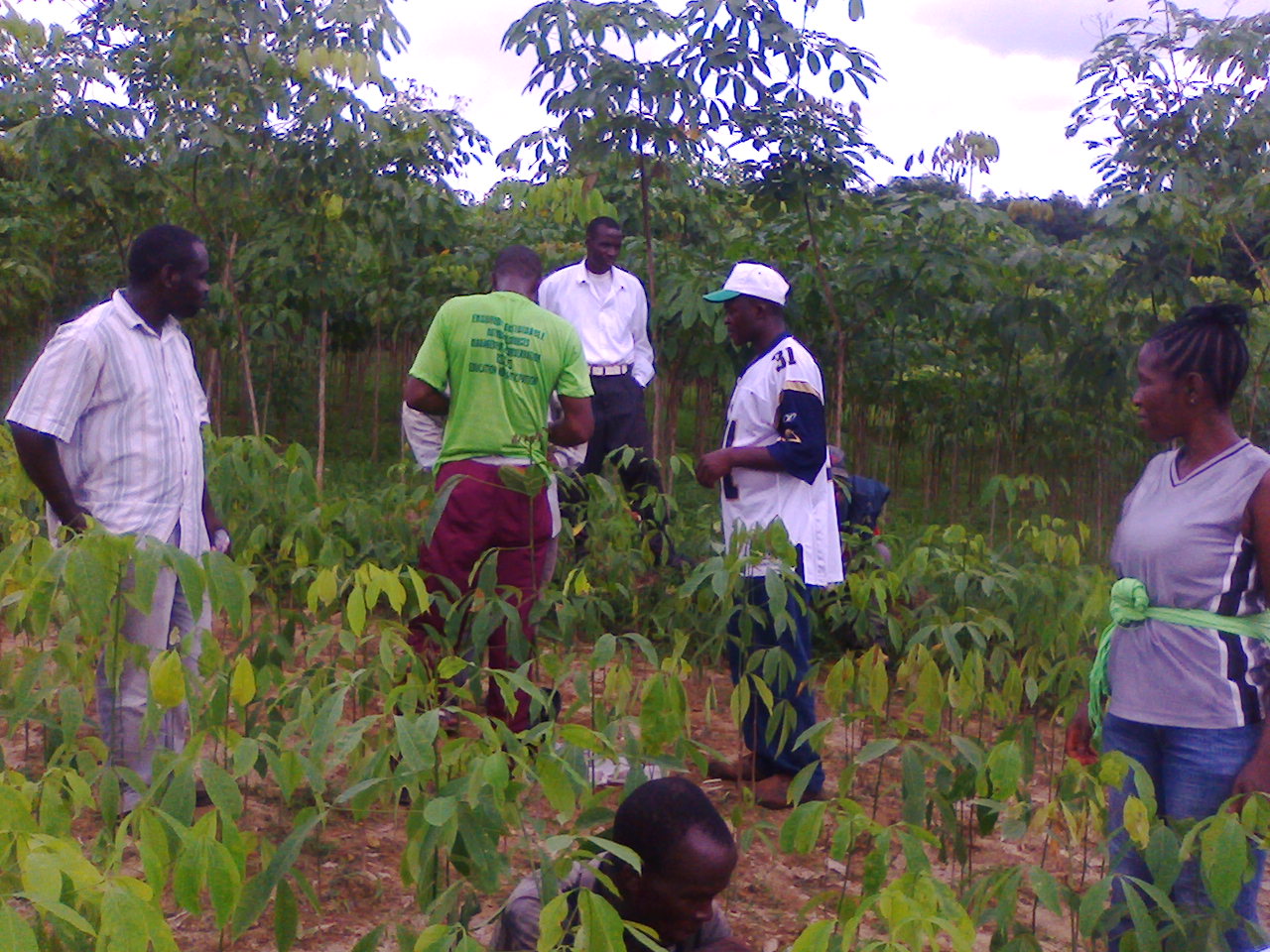 18 students of the Agriculture Department at the Nimba Commuinty College get practical knowledge about agriculture during a field trip to a rubber plantation in Nimba County