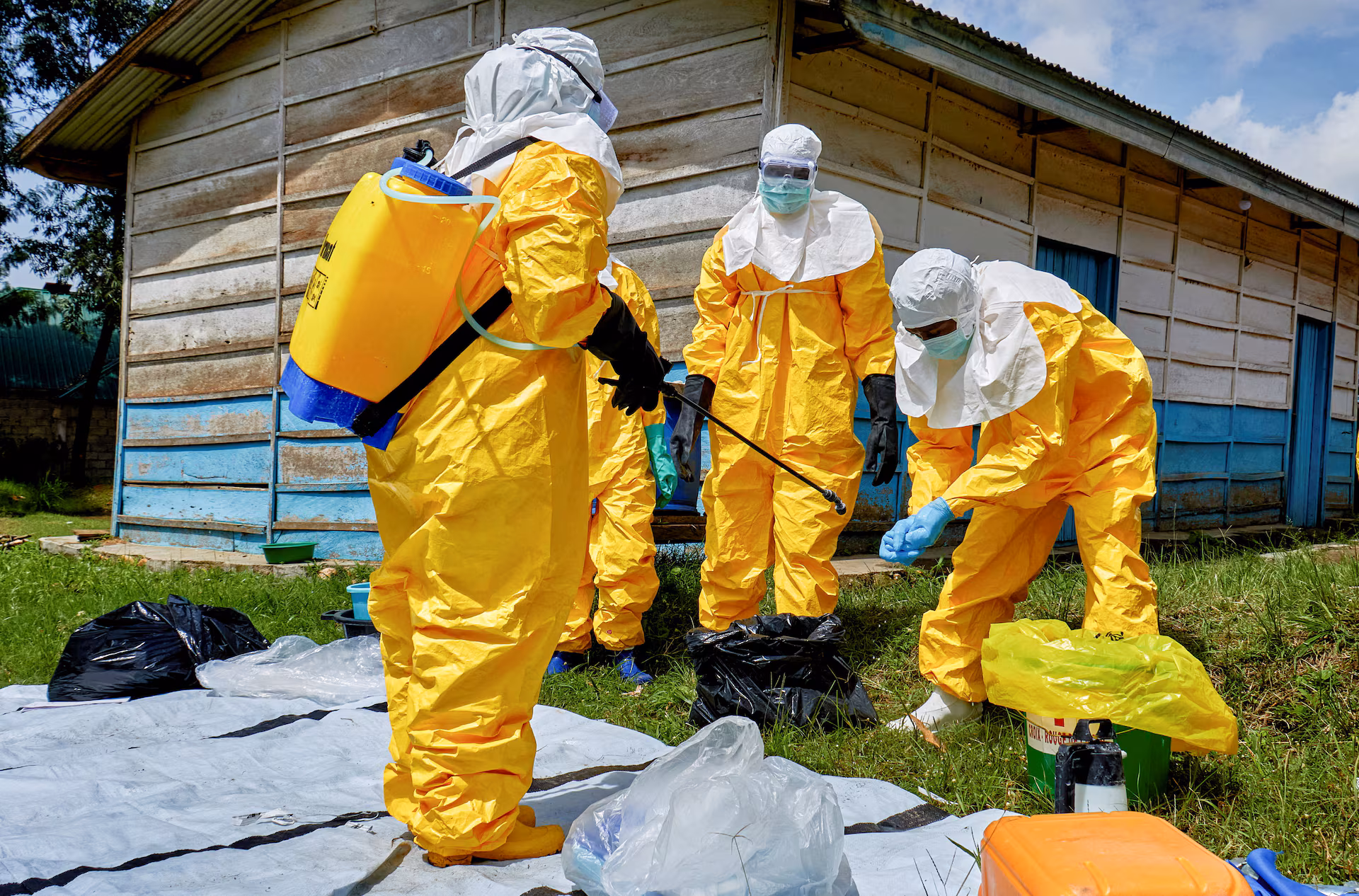 Ebola pic